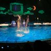 IMG_4917